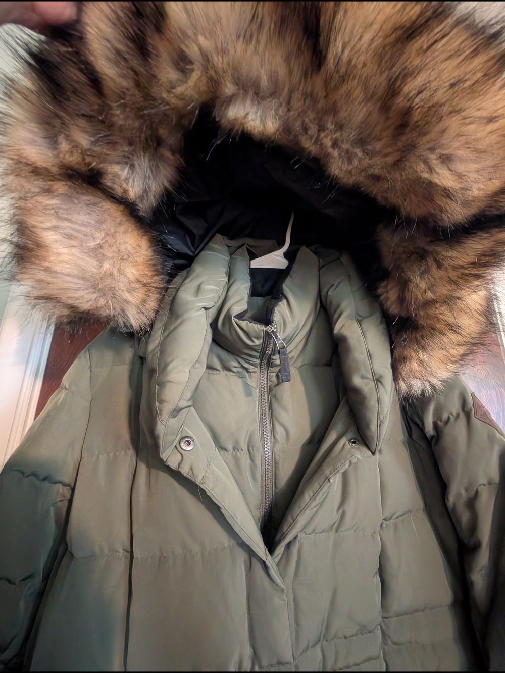 Eddie Bauer Olive Green Women's Puffer Coat - Picture 4 of 8